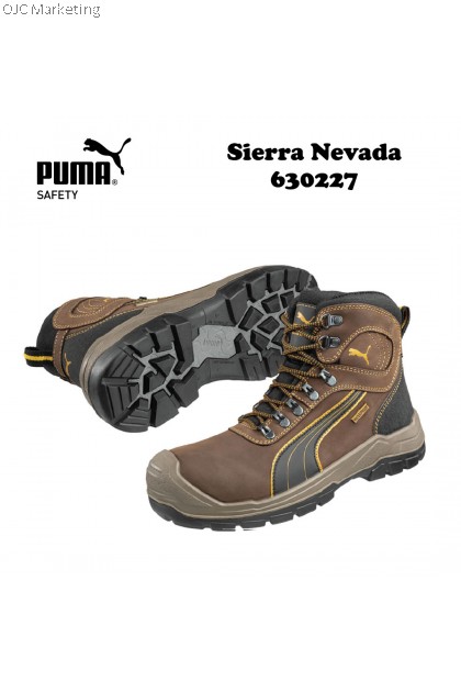 Puma zikr Sierra Nevada Mid